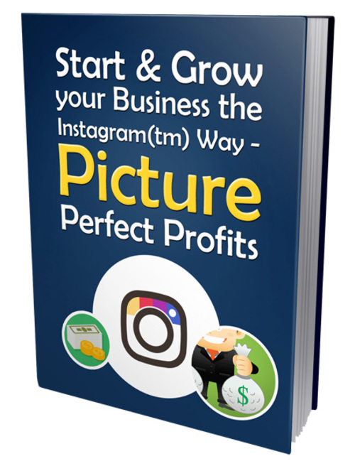 Product picture Start and Grow Your Business The Instagram Way